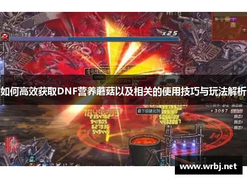如何高效获取DNF营养蘑菇以及相关的使用技巧与玩法解析