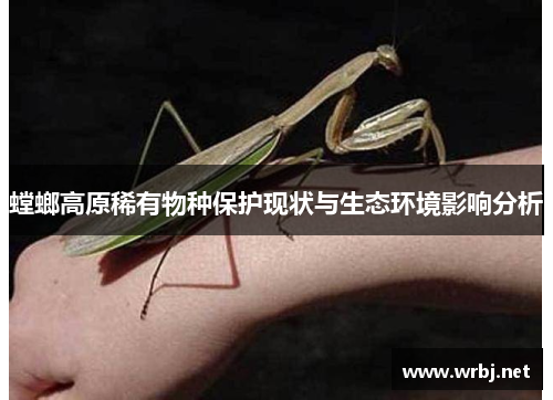 螳螂高原稀有物种保护现状与生态环境影响分析