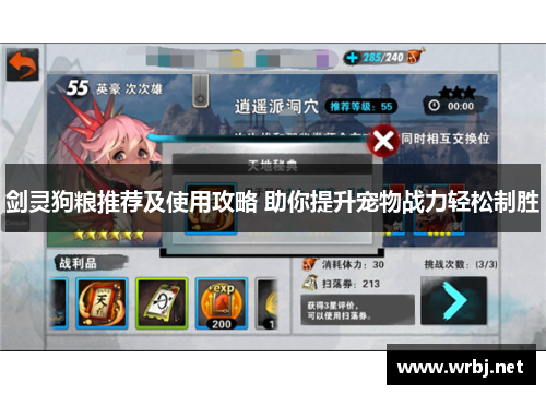剑灵狗粮推荐及使用攻略 助你提升宠物战力轻松制胜