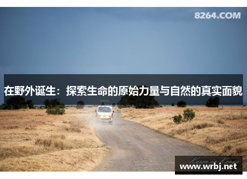 在野外诞生：探索生命的原始力量与自然的真实面貌
