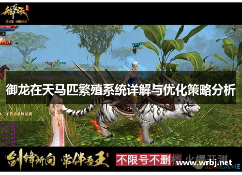 御龙在天马匹繁殖系统详解与优化策略分析